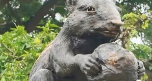 Ram Mandir: अयोध्या में राम जन्मभूमि पर मंदिर को निहारती गिलहरी की मूर्ति स्थापित, रामायण से जुड़ी है कहानी ?