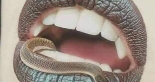 Life Lessons : सकारात्मक सोच की शक्ति एक कैदी की कहानी से जीवन का सबक ?