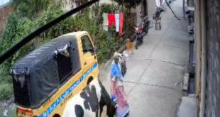 Panic among passersby : संभल में आवारा सांड ने राह चलती महिला पर बोला हमला, अस्पताल में चल रहा इलाज, राहगीरों में दहशत ?