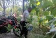 Cleanliness drive : सेवा पखवाड़ा के अंतर्गत मुख्य विकास अधिकारी ने विकास भवन में चलाया सफाई अभियान ?