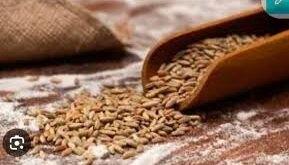 E-KYC : यूपी में बंटेगा सितंबर का राशन, तय हुई तारीख ई-केवाईसी न कराने वालों को नहीं मिलेगा फायदा ?