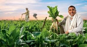 Farmers' inclination : हापुड़ में एक दिवसीय जनपद स्तरीय मिलेट्स मेला/प्रदर्शनी कार्यक्रम का आयोजन श्रीअन्न के प्रति बढ़ा किसानों का रुझान ?