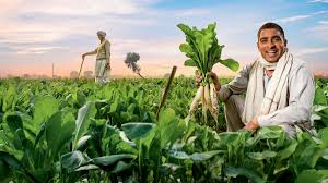 Farmers' inclination : हापुड़ में एक दिवसीय जनपद स्तरीय मिलेट्स मेला/प्रदर्शनी कार्यक्रम का आयोजन श्रीअन्न के प्रति बढ़ा किसानों का रुझान ?