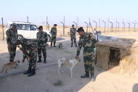 Ideals of loyalty : बीएसएफ ने के-9 पिल्लों के प्रशिक्षण का वीडियो पोस्ट किया; इंटरनेट पर उनकी खूबसूरती की तारीफ़ हो रही है वफादारी के आदर्श ?