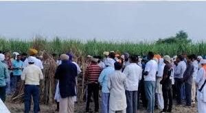 Hundreds of people : किसान को दौड़ाकर ट्रैक्टर से कुचलने वाले 12 आरोपियों पर FIR, शव गांव पहुंचते ही मचा चीत्कार जुट गए सैकड़ों लोग ?