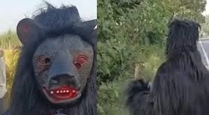 Terror of monkeys : बंदरों के आतंक से परेशान थे किसान, लगाया ऐसा गजब का दिमाग, देखकर जानवर भी हैं हैरान ?