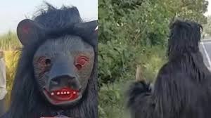 Terror of monkeys : बंदरों के आतंक से परेशान थे किसान, लगाया ऐसा गजब का दिमाग, देखकर जानवर भी हैं हैरान ?