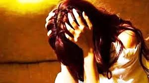 Trial : हापुड़ में दो बालिकाओं के अपहरण से मचा हड़कंप, थाना पिलखुवा पुलिस ने दर्ज किया मुकदमा ?