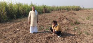 Village Vazhilpur : खेत से गन्ना चोरी का मामला – थाना हापुड़ देहात क्षेत्र, गांव वझीलपुर ?