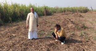 Village Vazhilpur : खेत से गन्ना चोरी का मामला – थाना हापुड़ देहात क्षेत्र, गांव वझीलपुर ?