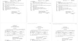 Education Department : शिक्षा विभाग में बड़ा फेरबदल, 30 जिलों में बीएसए की मिली नई तैनाती, 70 से अधिक शिक्षाधिकारियों का तबादला ?