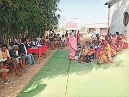 Felled trees : अज्ञात शरारती तत्वों ने ग्राम पंचायत भवन में लगे वृक्षों को किया धराशाई ?