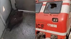 Driver injured : चलती ट्रेन से टकराई चील, केबिन का कांच हुआ चकनाचूर, ड्राइवर घायल ?
