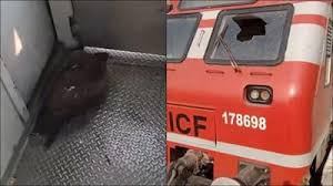 Driver injured : चलती ट्रेन से टकराई चील, केबिन का कांच हुआ चकनाचूर, ड्राइवर घायल ?