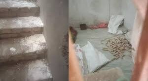 Faridabad Search Operations: हरियाणा के फरीदाबाद में फिर मिला 'विस्फोटक', DGP बोले-दिवाली के पटाखे पकड़े हैं ?