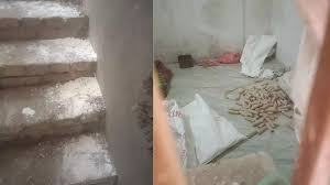 Faridabad Search Operations: हरियाणा के फरीदाबाद में फिर मिला 'विस्फोटक', DGP बोले-दिवाली के पटाखे पकड़े हैं ?