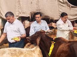 Mother cow is revered : एसडीएम युवराज सिंह बोले गौमाता पूजनीय, उन्हें बेसहारा छोड़ना पाप; निजीकरण चिंता का विषय ?
