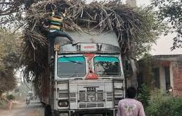 Overloading : कोल्हापुर में गन्ना परिवहन की खतरनाक स्थिति: चार मौतों का कारण बनी ओवरलोडिंग ?