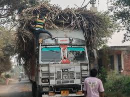 Overloading : कोल्हापुर में गन्ना परिवहन की खतरनाक स्थिति: चार मौतों का कारण बनी ओवरलोडिंग ?