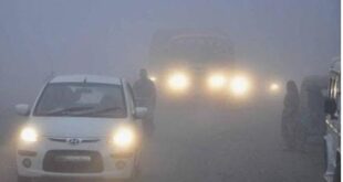Safe in the fog : कोहरे में सुरक्षित रहने के लिए अपने वाहनों पर रिफ्लेक्टर जरूर लगाएं ?