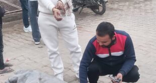 Ravi Dhama : रवि धामा ने घायल गौमाता को एम्बुलेंस से भिजवाया हरियाणा के अस्पताल ?