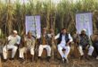 Sugarcane in hands : हाथों में गन्ना और खेतों में खाट पर बैठकर किसानों ने सुनाई ‘समृद्धि’ की कहानी ?