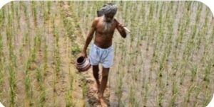 Government claims : सरकारी दावों के बावजूद किसान उपेक्षित, उचित मूल्य, बीमा, स्वास्थ्य, स्वामीनाथन सिफारिशें आज भी उपेक्षा में ?