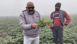 Gyanendra Tyagi : कोहरे से आलू, सरसों फसलों में रोग बढ़े, भारी नुकसान की आशंका: प्रगतिशील किसान ज्ञानेन्द्र त्यागी ?