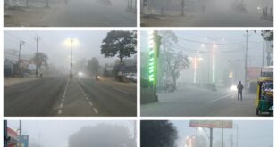 Temperature 8°C, dense fog : सहारनपुर में ठंडी सुबह, तापमान 8°C, घना कोहरा, दृश्यता शून्य, सफेद धुंध ने शहर ढका ?