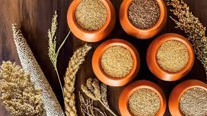 CSA Kanpur :कानपुर के सीएसए में लहलहा उठीं मोटे अनाज की 9 फसलें, किसानों की आमदनी होगी दुगनी ?