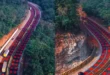 Unique experiment : घने जंगल के बीच लाल रंग से रंगी गई सड़क, हाइवे पर अनूठा एक्सपेरिमेंट, लेकिन क्या है वजह ?