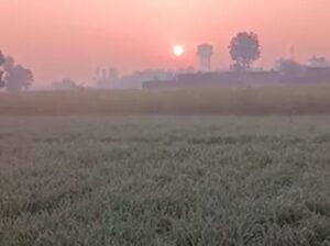 The weather : राजस्थान में कड़ाके की ठंड : अलवर-फतेहपुर 3 डिग्री पर ठिठुरे, आज से पश्चिमी विक्षोभ बदलेगा मौसम का मिजाज