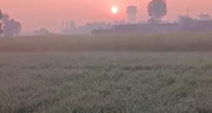 The weather : राजस्थान में कड़ाके की ठंड : अलवर-फतेहपुर 3 डिग्री पर ठिठुरे, आज से पश्चिमी विक्षोभ बदलेगा मौसम का मिजाज