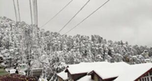 Higher areas, including Shimla : हिमाचल में बर्फीला टॉर्चर : शिमला सहित ऊंचे इलाकों में भारी हिमपात, 13 डिग्री लुढ़का पारा, 550 सड़कें बंद