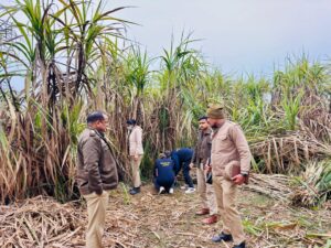Suspicion of murder : हापुड़/बहादुरगढ़: गन्ने के खेत में अज्ञात महिला का शव, रेप और हत्या की आशंका