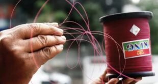 The deadly game of Chinese kite string  : उत्तर प्रदेश, इंदौर और दिल्ली के बाद अब कर्नाटक में भी चाइनीज मांझे का खूनी खेल