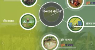 Seed minikit distribution : सम्मानित कृषक भाइयों से अनुरोध निःशुल्क दलहन बीज मिनीकिट वितरण एवं प्रसार कार्यक्रम  ?