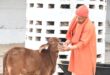 He performed the service of protecting cows : मुख्यमंत्री योगी आदित्यनाथ ने गोरखनाथ मंदिर में जनता दर्शन कर लोगों की समस्याएं सुनी, गौ सेवा का किया कार्य