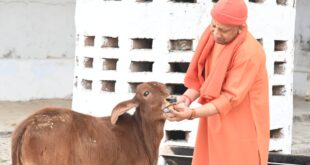 He performed the service of protecting cows : मुख्यमंत्री योगी आदित्यनाथ ने गोरखनाथ मंदिर में जनता दर्शन कर लोगों की समस्याएं सुनी, गौ सेवा का किया कार्य