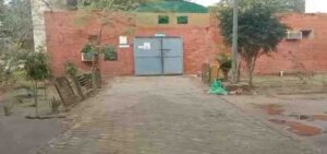 The body was found in the fields : सोनीपत गांव में चारा लेने गई बुजुर्ग महिला की संदिग्ध हत्या, शव खेतों में मिला