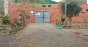 The body was found in the fields : सोनीपत गांव में चारा लेने गई बुजुर्ग महिला की संदिग्ध हत्या, शव खेतों में मिला