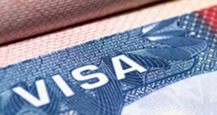 New bill introduced in America : एच-1बी वीजा प्रोग्राम खत्म करने के लिए अमेरिका में नया बिल पेश