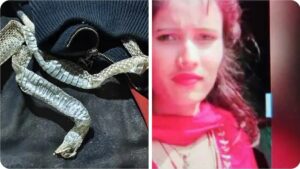 There was a stir in the village : औरैया में शादी से बचने के लिए लड़की ने किया अजीब ड्रामा, गांव में मचा हड़कंप