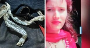 There was a stir in the village : औरैया में शादी से बचने के लिए लड़की ने किया अजीब ड्रामा, गांव में मचा हड़कंप