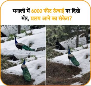 We fear the apocalypse : अपराध हमारा, सजा पक्षियों को; ग्लोबल वार्मिंग से मोर बर्फ में, हम डरते प्रलय ?