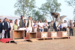 Five endangered vultures : मुख्यमंत्री डॉ मोहन यादव ने मध्यप्रदेश में हलाली डेम पर पांच लुप्तप्राय गिद्ध मुक्त किए ?