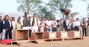 Five endangered vultures : मुख्यमंत्री डॉ मोहन यादव ने मध्यप्रदेश में हलाली डेम पर पांच लुप्तप्राय गिद्ध मुक्त किए ?