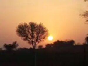 Premature heat : राजस्थान में समय से पहले गर्मी का सितम : बाड़मेर में पारा 38 डिग्री के करीब; पश्चिमी जिलों में चलीं गर्म हवाएं