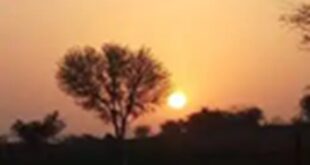 Premature heat : राजस्थान में समय से पहले गर्मी का सितम : बाड़मेर में पारा 38 डिग्री के करीब; पश्चिमी जिलों में चलीं गर्म हवाएं