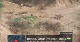 There was a commotion  : तिंदवारी ब्लॉक की जौहरपुर गौशाला में अव्यवस्था उजागर, मृत गोवंश और कंकाल मिलने से मचा हड़कंप